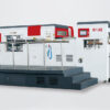 Automatic Die-cutting & Stripping Machine